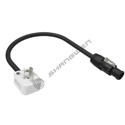 SW3FX-WN to national standard plug